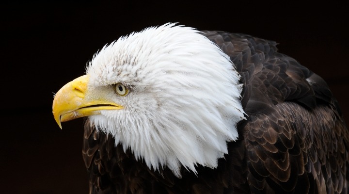 Federal Reserve Decision