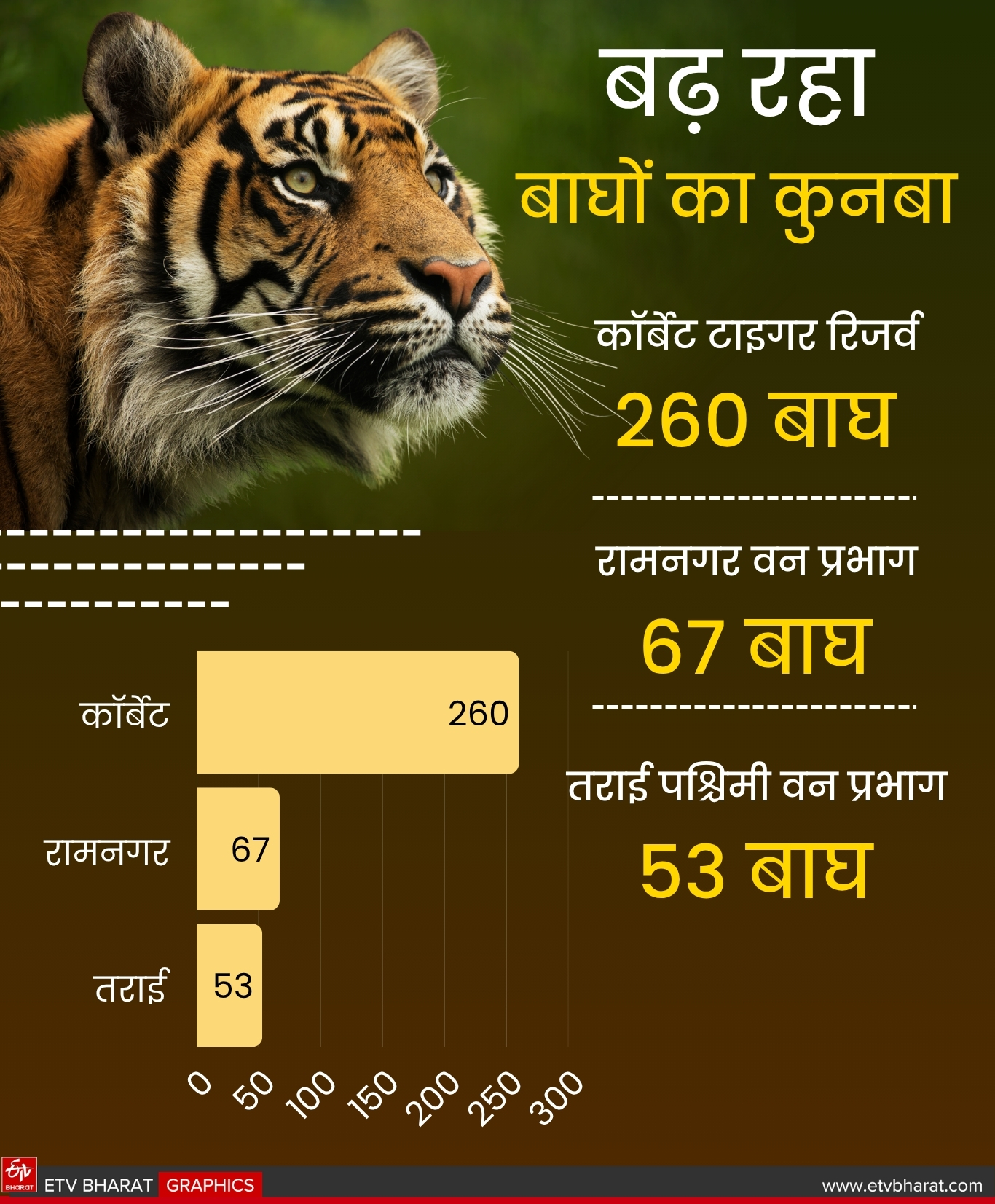 CORBETT TIGER RESERVE