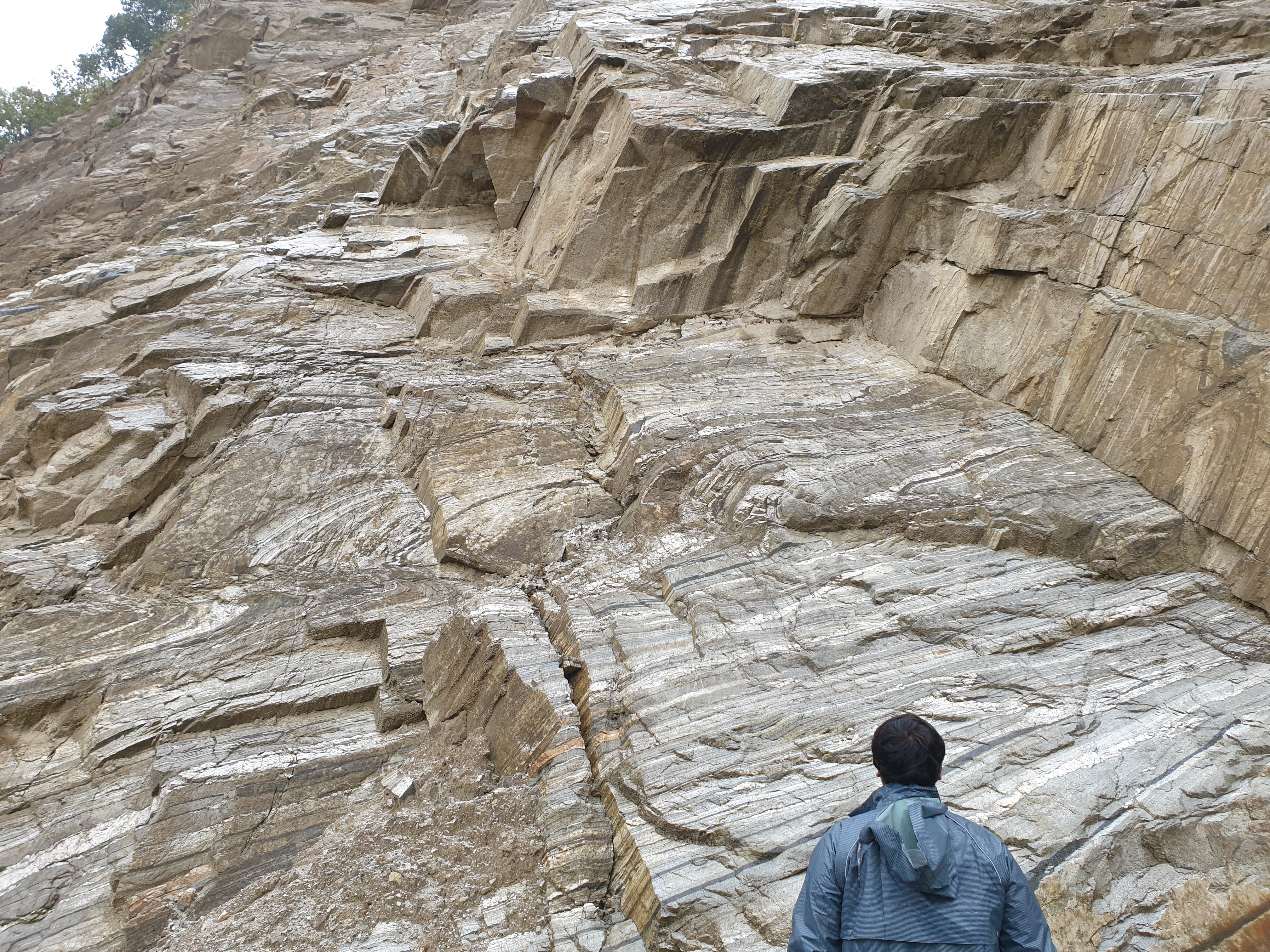 Himalaya formation Process