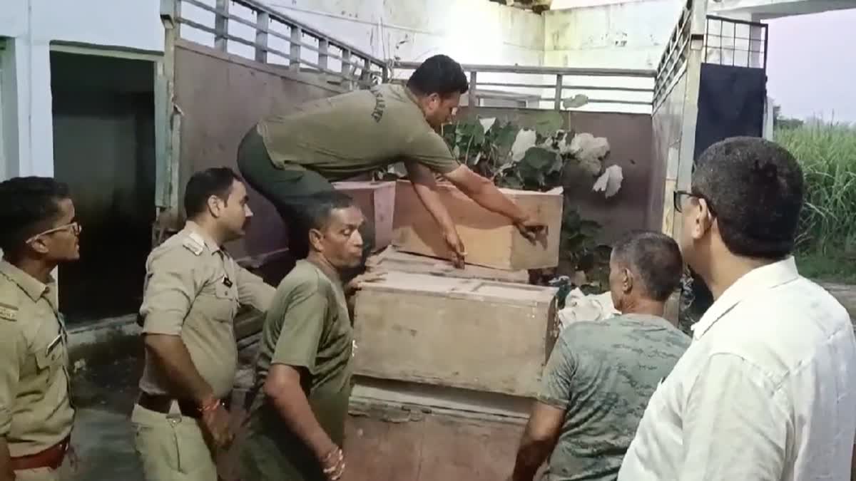 Roorkee Venom Center Case