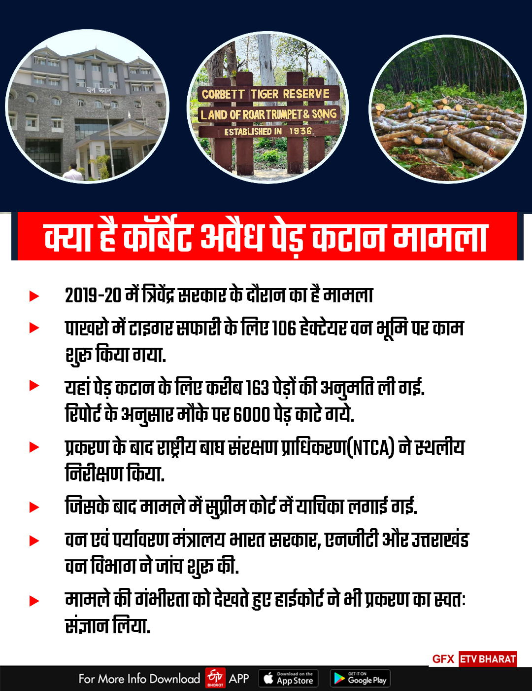 PAKHRO TIGER SAFARI CASE