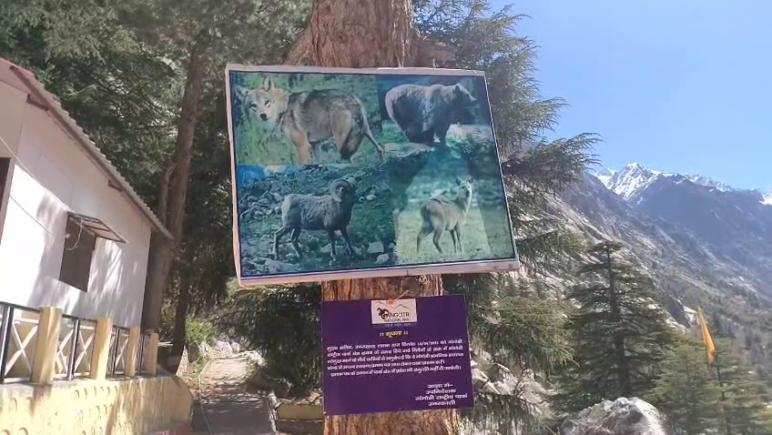 GANGOTRI NATIONAL PARK