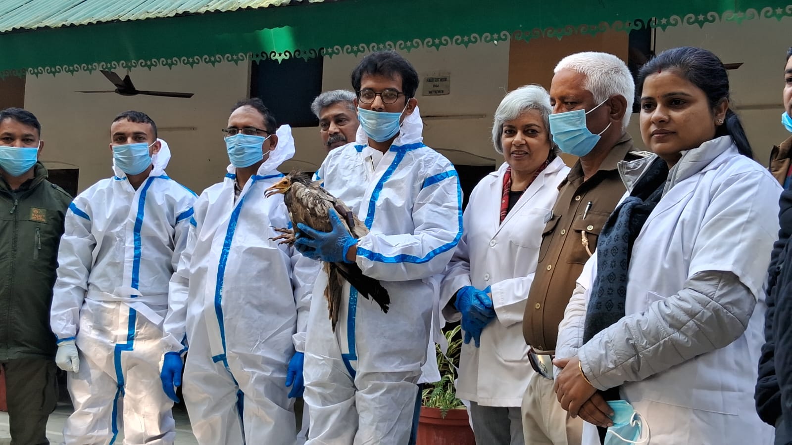 GPS TAGGED EGYPTIAN VULTURE