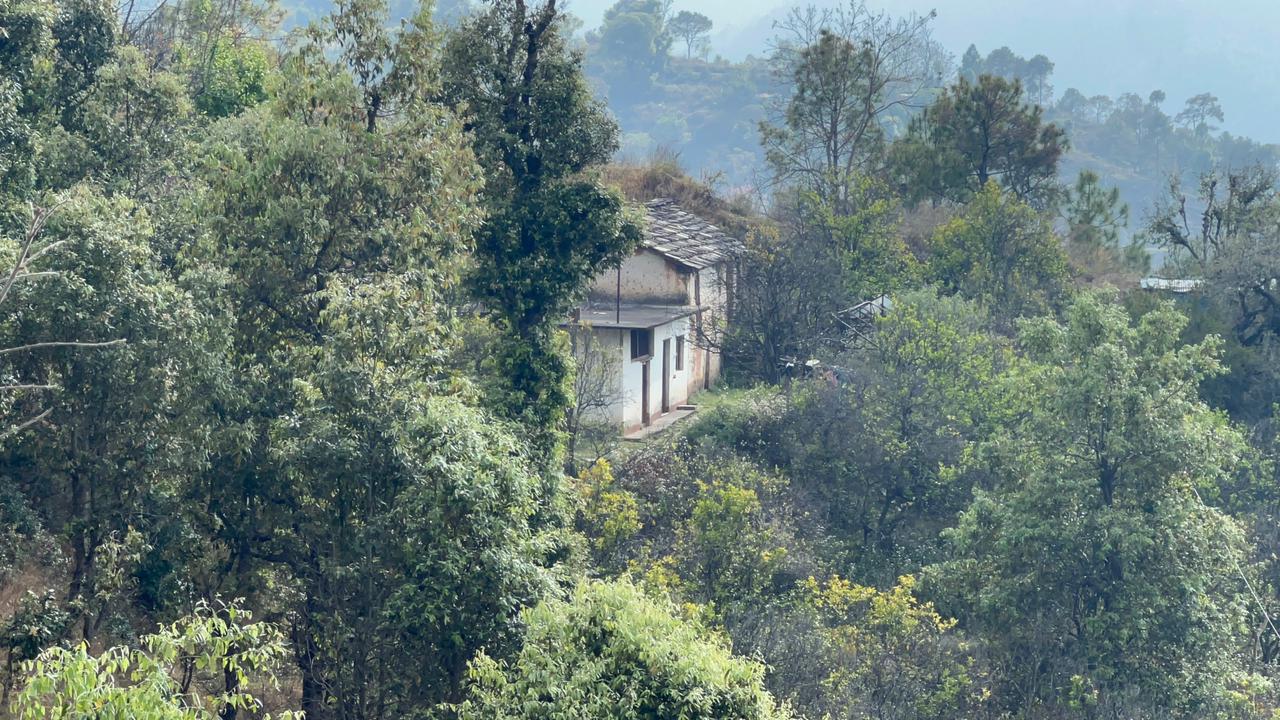 GADIYURA VILLAGE IN NAINITAL