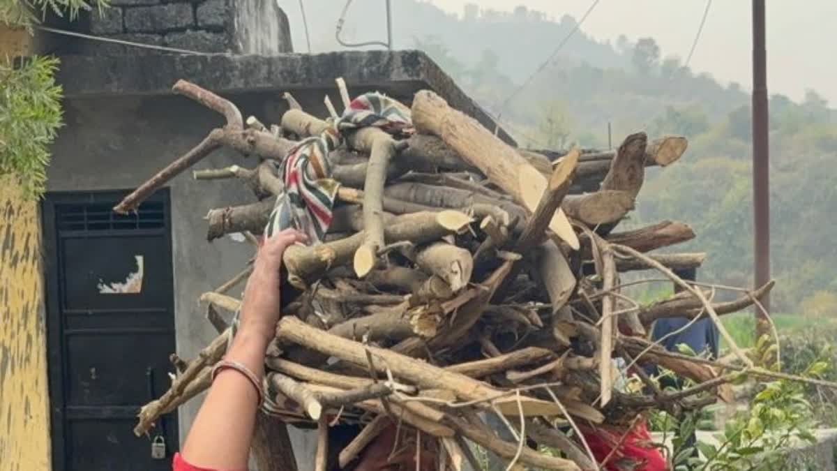 Chardham FireWood